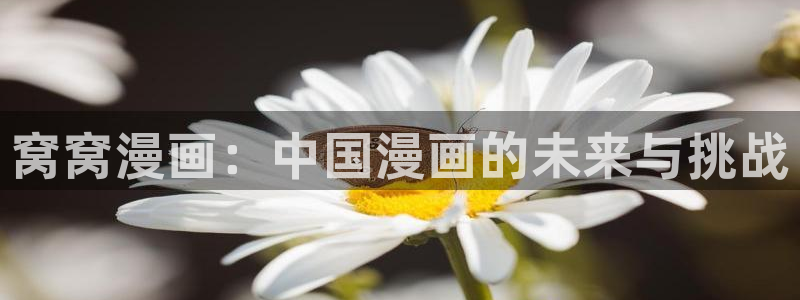 新新漫画网站