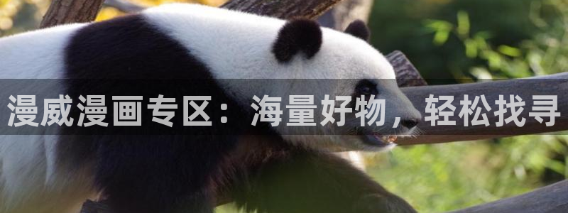 新新漫画在线看