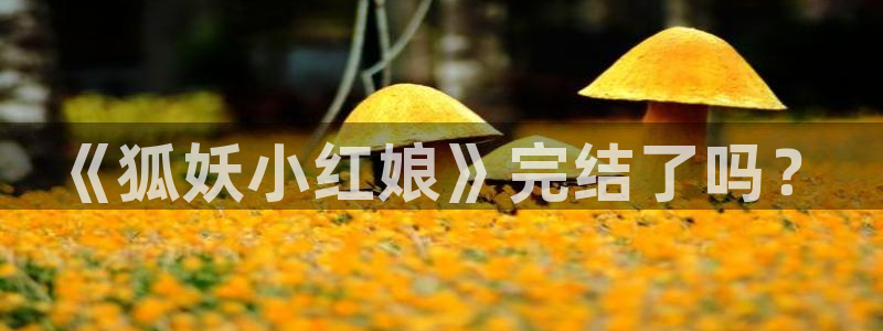 新新漫画官网网页版