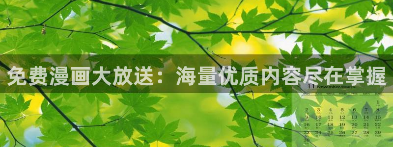 鸣鸟不飞 新新漫画