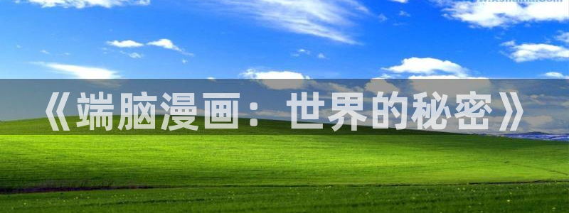 新新漫画网77mh：《端脑漫画：世界的秘密》