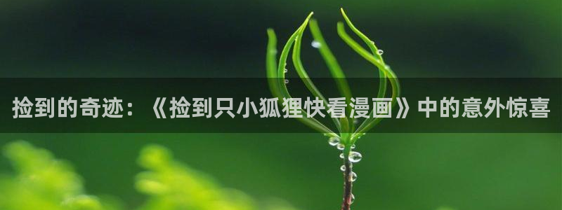新新漫画移动端