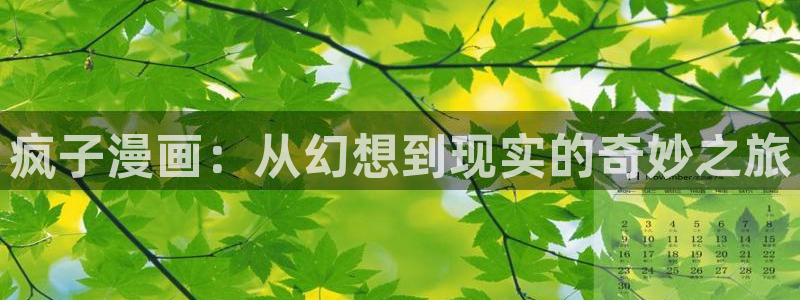 新新漫画网址：疯子漫画：从幻想到现实的奇妙之旅