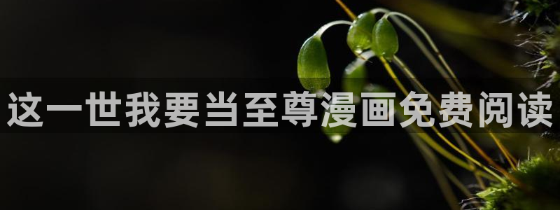 新新漫画官网