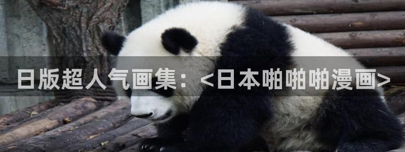 新新漫画官网入口