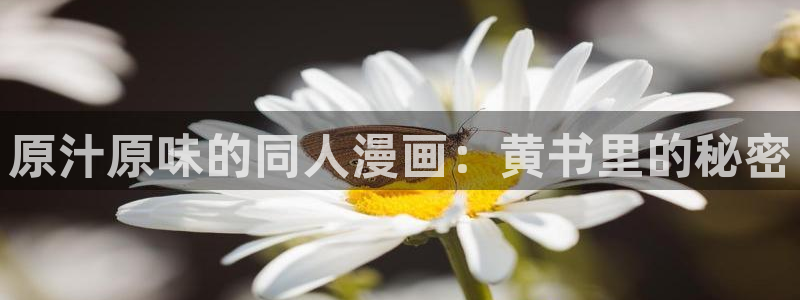 新新漫画备用网