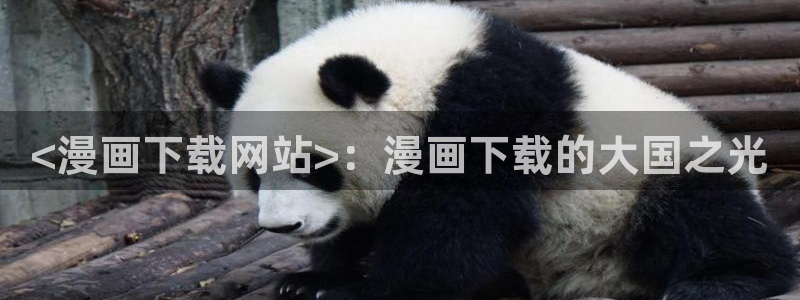 纯情罗曼史新新漫画