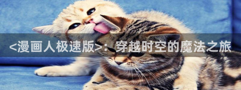 新新漫画官网正版入口