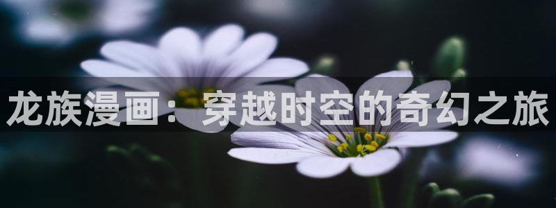 请别太过分新新漫画