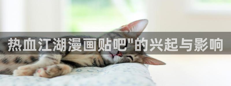 新新漫画安卓下载