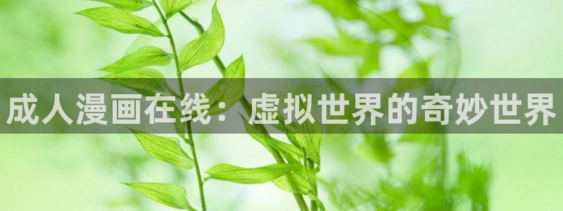 新新漫画鸣鸟不飞：成人漫画在线：虚拟世界的奇妙世界