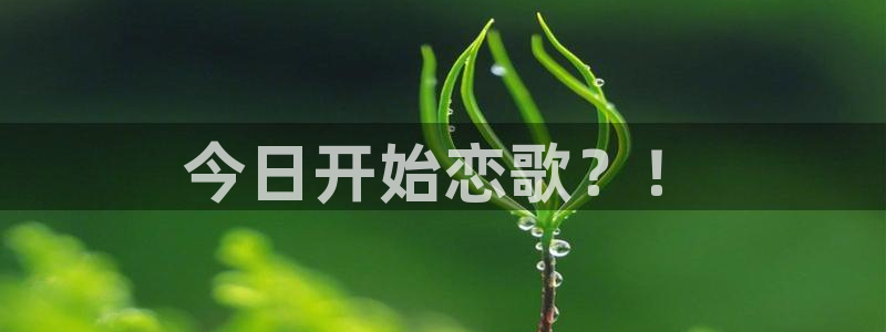 新新漫画客户端ios