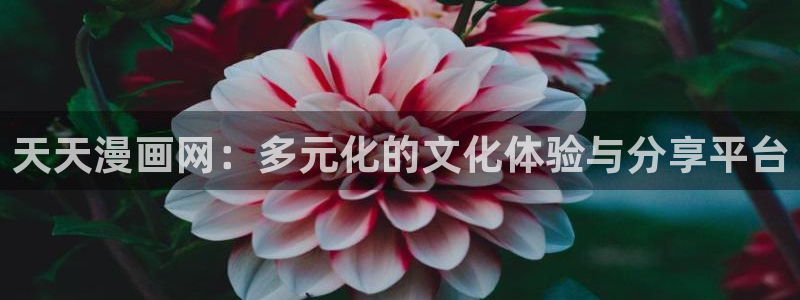 新新漫画网站