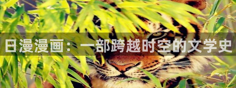 新新漫画鸣鸟不飞：日漫漫画：一部跨越时空的文学史
